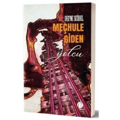MEÇHULE GİDEN YOLCU